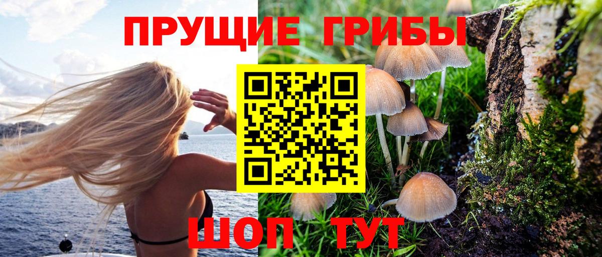 Галлюциногенные грибы ЛСД  Галлюциногенные грибы GOLDEN TEACHER  Норильск  Вход с VPN 